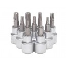 Collection de douiulle Torx