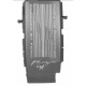 Cache moteur "Powered by Ford"
