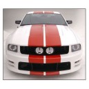 Head light grille Eleonor