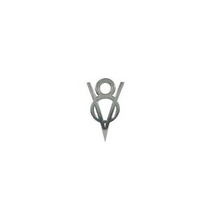 Logo chrome V8
